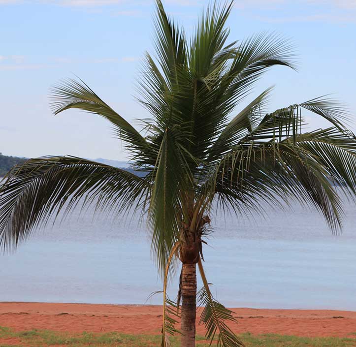 Sambia 2012